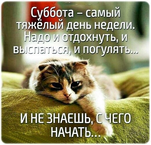 Суббота – самый тяжёлый день недели. Надо и отдохнуть, и выспаться, и погулять... И не знаешь, с чего начать...
