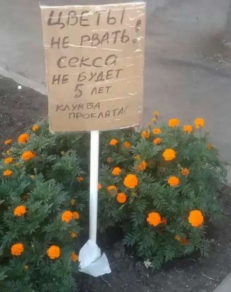 ЦВЕТЫ! НЕ РВАТЬ! СЕКСА НЕ БУДЕТ 5 ЛЕТ. КЛУБИКА ПРОКЛЯТА!
