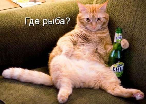 Где рыба?