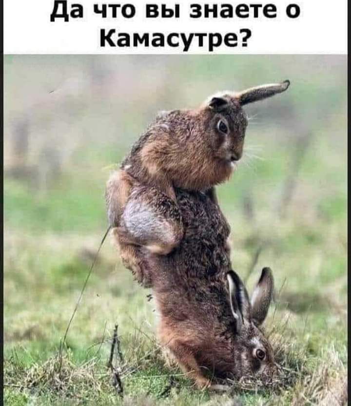 Да что вы знаете о КамаСутре?