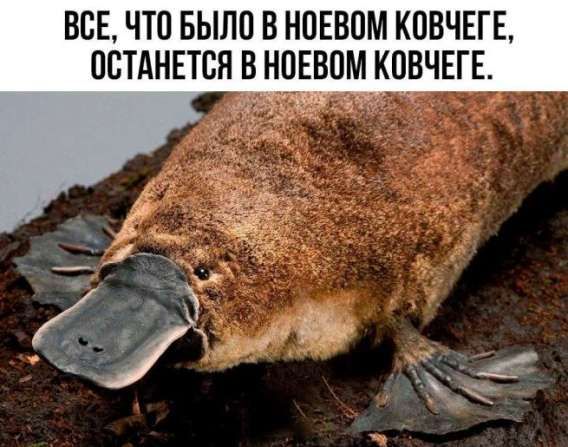 ВСЁ, ЧТО БЫЛО В НОЕВом КОВЧЕГЕ, ОСТАНЕТСЯ В НОЕВом КОВЧЕГЕ.