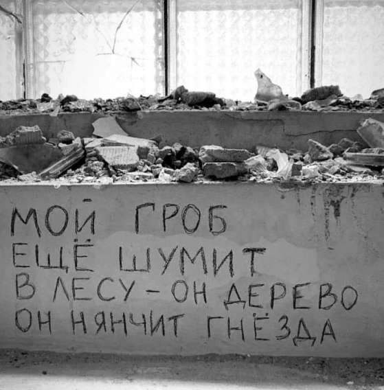 МОЙ ГРОБ ЕЩЁ ШУМИТ В ЛЕСУ-ОН ДЕРЕВО ОН НЯНЧИТ ГНЕЗДА