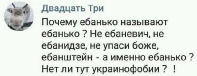 Почему ебанько называют ебанько? Не ебаневич, не ебанидзе, не упаси боже, ебанштейн - а именно ебанько? Нет ли тут украинофобии?