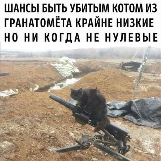 ШАНСЫ БЫТЬ УБИТЫМ КОТОМ ИЗ ГРАНАТОМЁТА КРАЙНЕ НИЗКИЕ НО НИ КОГДА НЕ НУЛЕВЫЕ