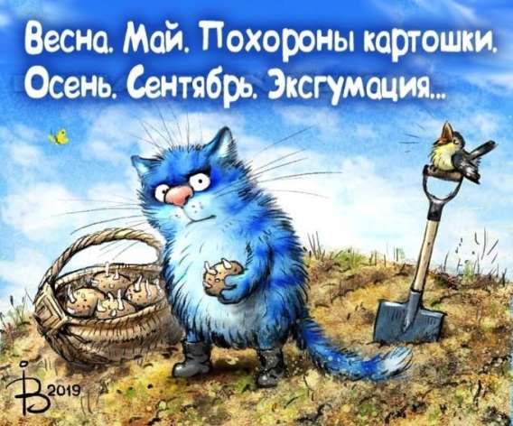 Весна. Май. Похороны картошки. Осень. Сентябрь. Экстракция...