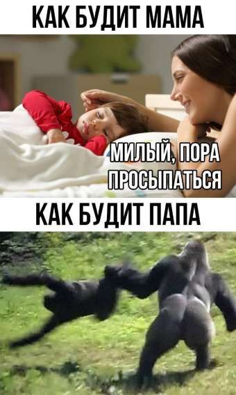 КАК БУДИТ МАМА
МИЛЫЙ, ПОРА ПРОСЫПАТЬСЯ
КАК БУДИТ ПАПА
