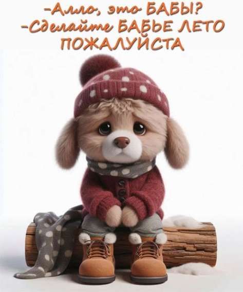 Алло, это БАБЫ? - Сделайте БАБЬЕ ЛЕТО ПОЖАЛУЙСТА