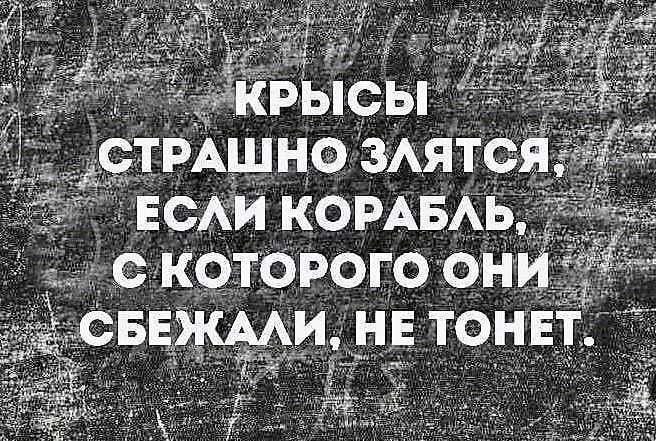 Крысы страшно злится, если корабль, с которого они сбежали, не тонет.