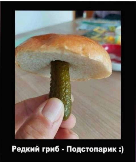 Редкий гриб - Подстопарик :)