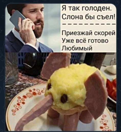 Я так голоден. Слона бы съел!
Приезжай скорей
Уже всё готово
Любимый