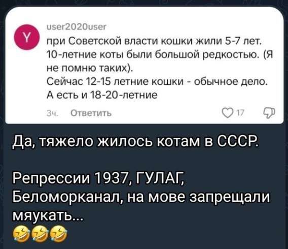 при Советской власти кошки жили 5-7 лет. 10-летние коты были большой редкостью. (Я не помню таких). Сейчас 12-15 летние кошки - обычное дело. А есть и 18-20 летние.
Да, тяжело жилось котам в СССР.
Репрессии 1937, ГУЛАГ, Беломорканал, на мове запрещали мяукать...