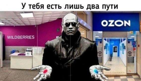 У тебя есть лишь два пути