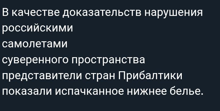 В качестве доказательств нарушения российскими самолётами суверенного пространства представители стран Прибалтики показали испачканное нижнее белье.