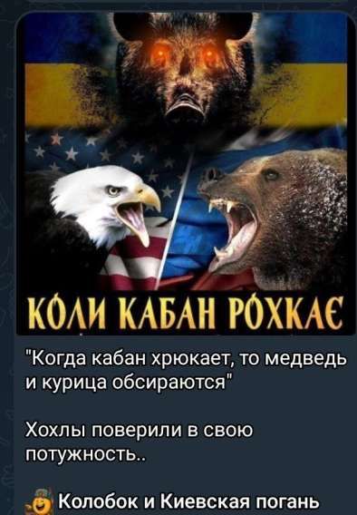 Коли кабан рохкає
