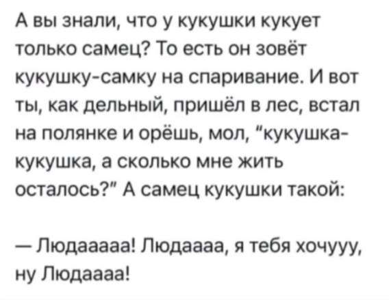 А вы знали, что у кукушки кукует только самец? То есть он зовёт кукушку-самку на спаривание. И вот ты, как делёный, пришёл в лес, встал на полянке и орёшь, мол, 