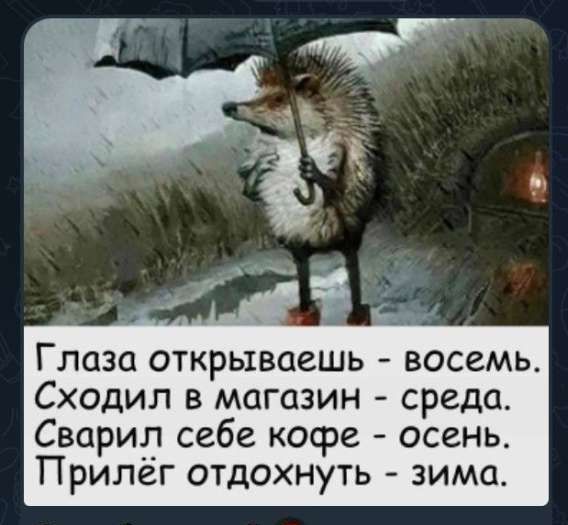 Глаза открываешь - восемь.
Сходил в магазин - среда.
Сварил себе кофе - осень.
Прилёг отдохнуть - зима.