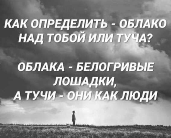 КАК ОПРЕДЕЛИТЬ - ОБЛАКО НАД ТОБОЙ ИЛИ ТУЧА?
ОБЛАКА - БЕЛОГРИВЫЕ ЛОШАДКИ,
А ТУЧИ - ОНИ КАК ЛЮДИ