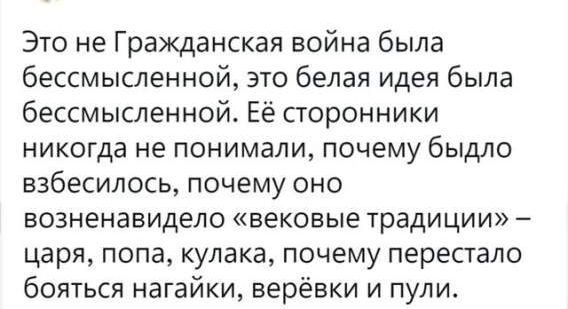 Это не Гражданская война была бессмысленной, это белая идея была бессмысленной. Её сторонники никогда не понимали, почему быдло взбесилось, почему оно возненавидело «вековые традиции» – царя, попа, кулака, почему перестало бояться нагайки, верёвки и пули.