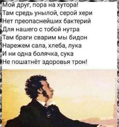Мой друг, пора на хутор!
Там средь унылой, серой хери
Нет преопаснейших бактерий
Для нашего с тобой нутра
Там браги сварим мы бидон
Нарежем сала, хлеба, лука
И ни одна болячка, сука
Не пошатнёт здоровья трон!