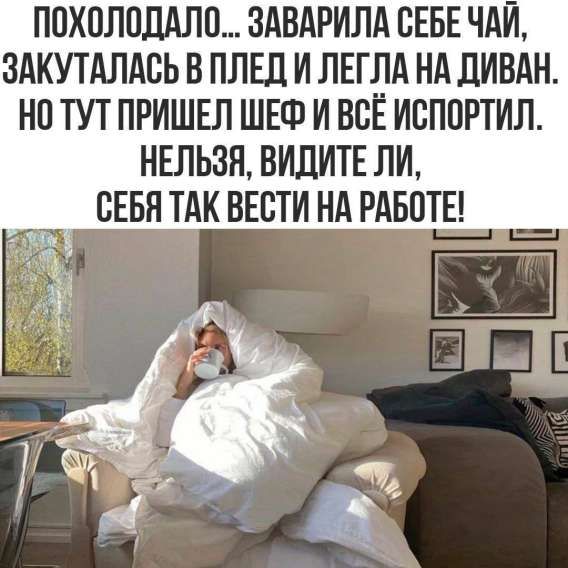 ПОХОЛОДАЛО... ЗАВАРИЛА СЕБЕ ЧАЙ, ЗАКУТАЛАСЬ В ПЛЕД И ЛЕГЛА НА ДИВАН. НО ТУТ ПРИШЕЛ ШЭФ И ВСЁ ИСПОРТИЛ. НЕЛЬЗЯ, ВИДИТЕ ЛИ, СЕБЯ ТАК ВЕСТИ НА РАБОТЕ!