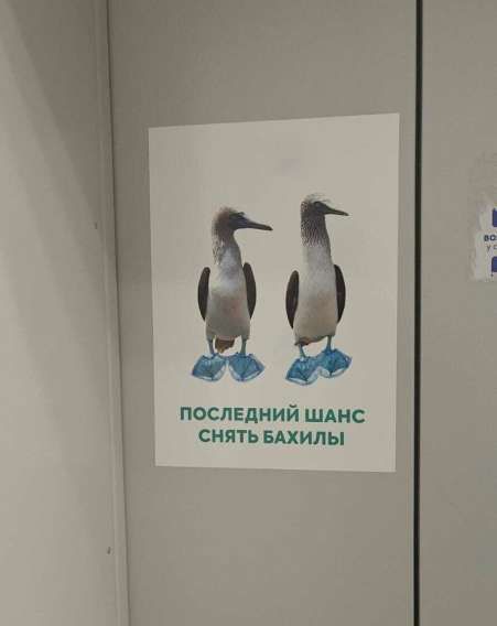 ПОСЛЕДНИЙ ШАНС СНЯТЬ БАХИЛЫ