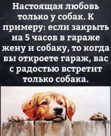 Настоящая любовь только у собак. К примеру: если закрыть на 5 часов в гараже жену и собаку, то когда вы откроете гараж, вас с радостью встретит только собака.