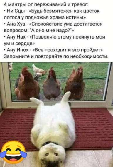 4 мантры от переживаний и тревог:
• Ни Сцы - «Будь безмятежен как цветок лотоса у подножья храма истины»
• Ана Хуа - «Спокойствие ума достигается вопросом: “А оно мне надо?”»
• Аню Нах - «Позволяю этому покинуть мои ум и сердце»
• Аню Илох - «Все проходит и это пройдет»
Запомните и повторяйте по необходимости.