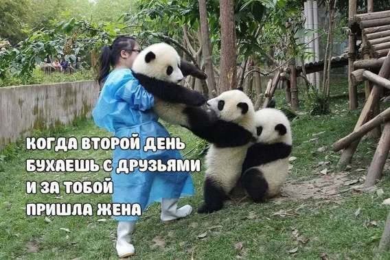 КОГДА ВТОРОЙ ДЕНЬ БУХАЕШЬ С ДРУЗЬЯМИ И ЗА ТОБОЙ ПРИШЛА ЖЕНА