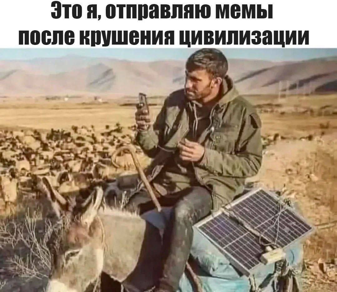Это я, отправляю мемы после крушения цивилизации