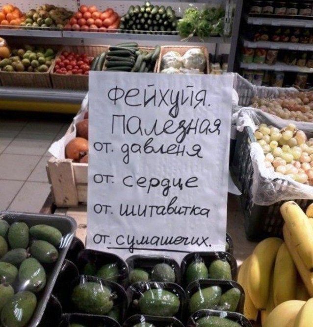 Фейхуя. Палеозная
от. давления
с сердце
от. шитавитка
от. сумасшех.