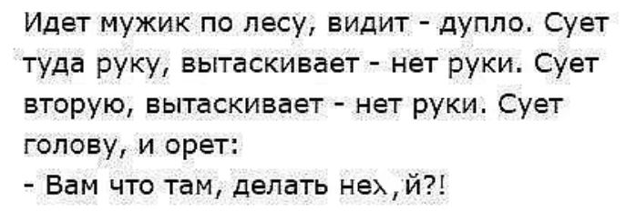 Идет мужик по лесу, видит - дупло. Сует туда руку, вытаскивает - нет руки. Сует вторую, вытаскивает - нет руки. Сует голову, и орет:
- Вам что там, делать не*й?!