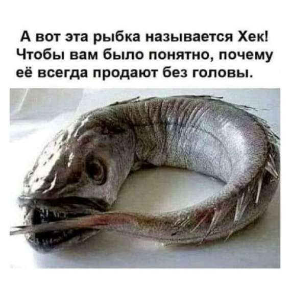 А вот эта рыбка называется Хек! Чтобы вам было понятно, почему её всегда продают без головы.