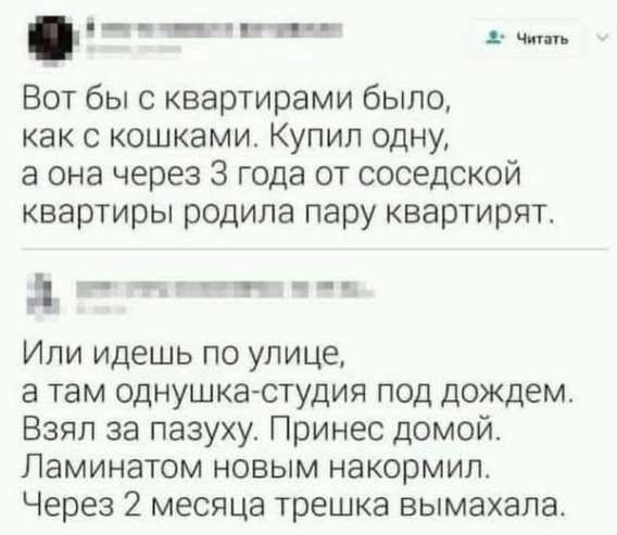 Вот бы с квартирами было, как с кошками. Купил одну, а она через 3 года от соседской квартиры родила пару квартирят.

Или идёшь по улице, а там однушка-студия под дождём. Взял за пазуху. Принёс домой. Ламинатом новым накормил. Через 2 месяца трешка вымахала.