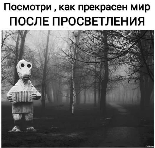Посмотри, как прекрасен мир ПОСЛЕ ПРОСВЕТЛЕНИЯ