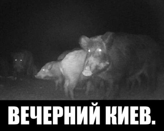 ВЕЧЕРНИЙ КИВ