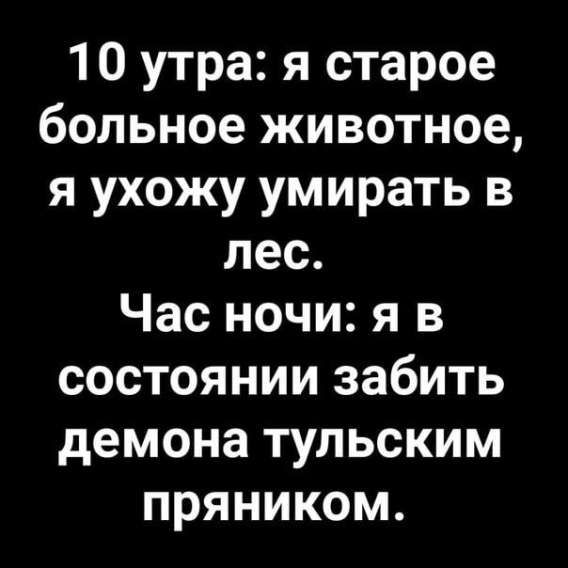 10 утра: я старое больное животное, я ухожу умирать в лес. Час ночи: я в состоянии забить демона тульским пряником.