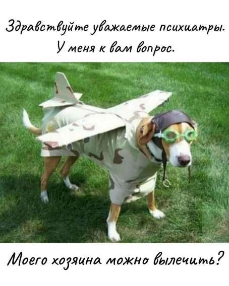 Здравствуйте уважаемые психиатры. У меня к вам вопрос. Моего хозяина можно вылечить?