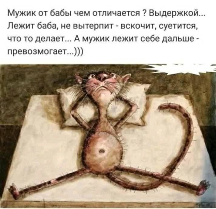 Мужик от баби чем отличается ? Выдержкой... Лежит баба, не вытерпит - вскачет, суетится, что то делает... А мужик лежит себе дальше - превозмогает...)))