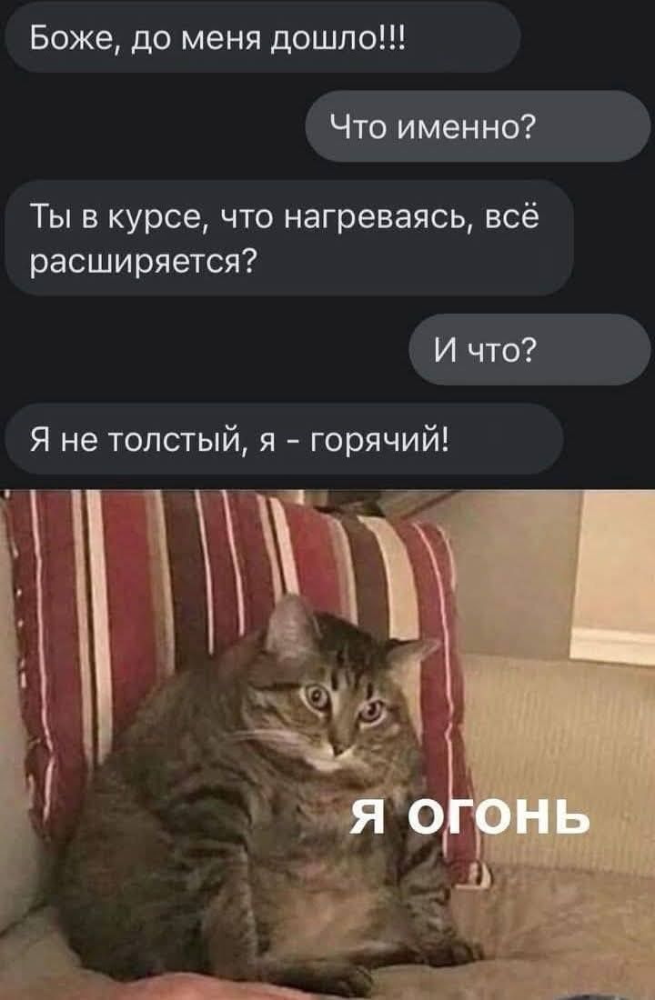 Боже, до меня дошло!!! Что именно? Ты в курсе, что нагреваясь, всё расширяется? И что? Я не толстый, я - горячий! Я огонь.