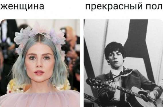 женщина
прекрасный пол
