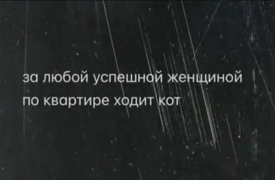 за любой успешной женщиной по квартире ходит кот