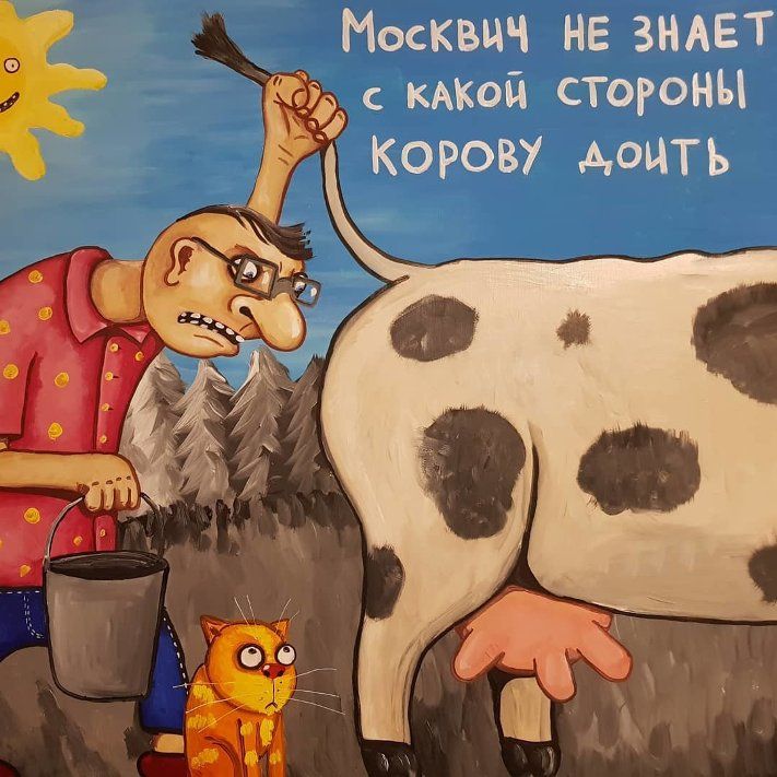 Москвич не знает с какой стороны корову доить