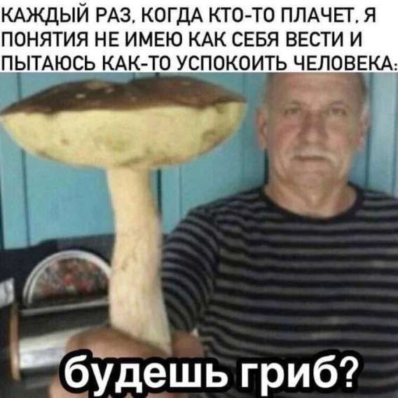 Каждый раз, когда кто-то плачет, я понятия не имею как себя вести и пытаюсь как-то успокоить человека: будешь гриб?