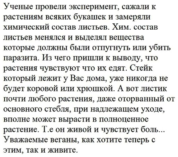 Ученые провели эксперимент, сажали к растениям всяких букашек и замеряли химический состав листьях. Хим. состав листьев менялся и выделял вещества которые должны были отпугнуть или убить паразита. Из чего пришли к выводу, что растения чувствуют что их едят. Стейк который лежит у Вас дома, уже никогда не будет коровьей или хорошкой. А вот листик почти любого растения, даже оторванный от основного стебля, при надлежащем уходе, вполне может вырасти в полноценное растение. Т.е. он живой и чувствует боль... Уважаемые бегуны, как хотите теперь с этим, так и живите.