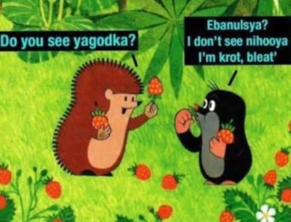 Do you see yagodka? Ebanulsya? I don't see nihooya I'm krot, bleat