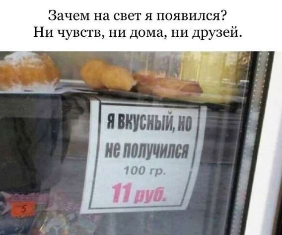 Зачем на свет я появился? Ни чувств, ни дома, ни друзей. Я вкусный, но не получился. 100 гр. 11 руб.