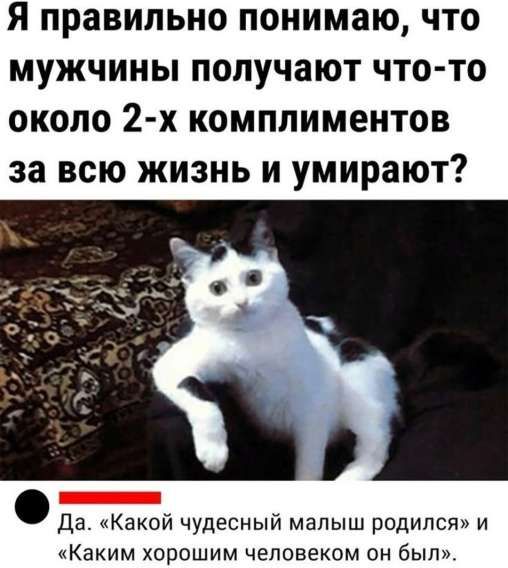 Я правильно понимаю, что мужчины получают что-то около 2-х комплиментов за всю жизнь и умирают? Да. «Какой чудесный малыш родился» и «Каким хорошим человеком он был».