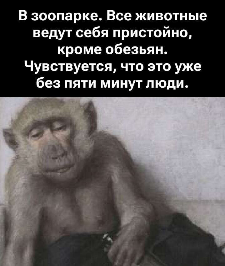 В зоопарке. Все животные ведут себя пристойно, кроме обезьян. Чувствуется, что это уже без пяти минут люди.