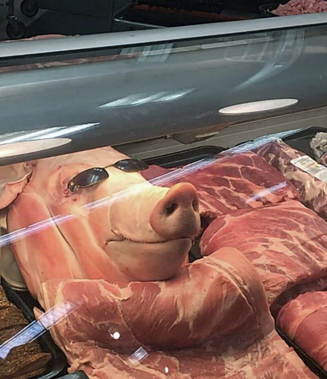 На витрине мясной лавки лежит голова свиньи в очках, окружённая кусков сырого мяса.