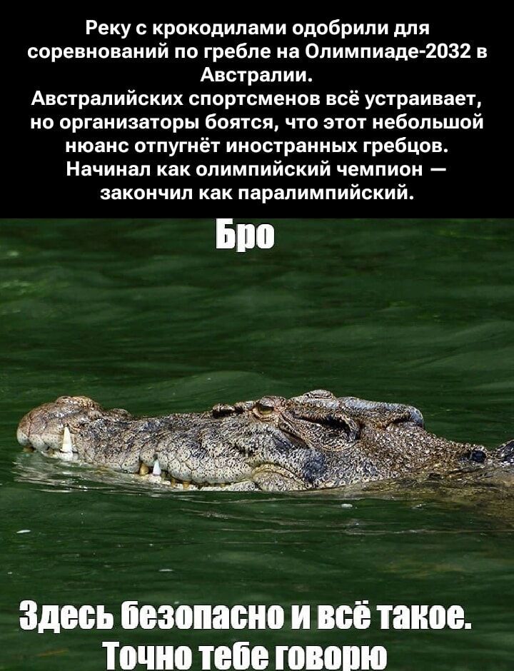 Реку с крокодилами одобрили для соревнований по гребле на Олимпиаде-2032 в Австралии. Австралийских спортсменов всё устраивает, но организаторы боятся, что этот небольшой нюанс отпугнёт иностранных гребцов. Начинал как олимпийский чемпион — закончил как паралимпийский. Бро. Здесь безопасно и всё такое. Точно тебе говорю